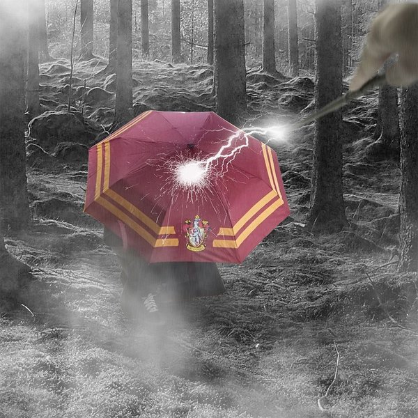 Harry Potter Regenschirm Gryffindor