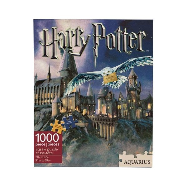 Harry Potter Puzzle Hogwarts (1000 Teile)