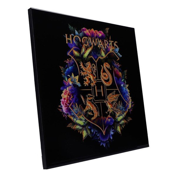 Harry Potter Crystal Clear Picture Wanddekoration Hogwarts Fine Oddities 32 x 32 cm