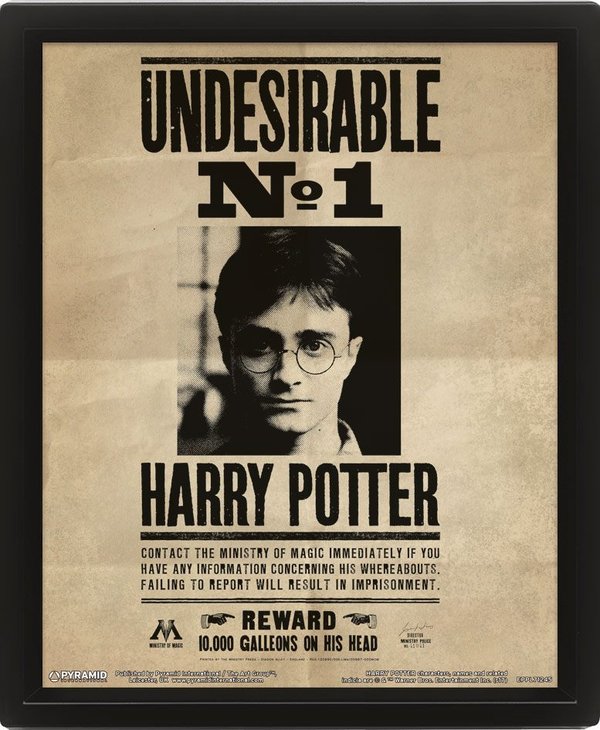 Harry Potter 3D-Effekt Poster Set im Rahmen Potter / Sirius 26 x 20 cm